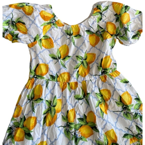 Janie and Jack Primrose Puff Sleeve Lemon Print Cotton Dress Size 3 Girls - Picture 2 of 9